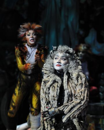 Grizabella The Glamour Cat Cats Musical Wiki Fandom