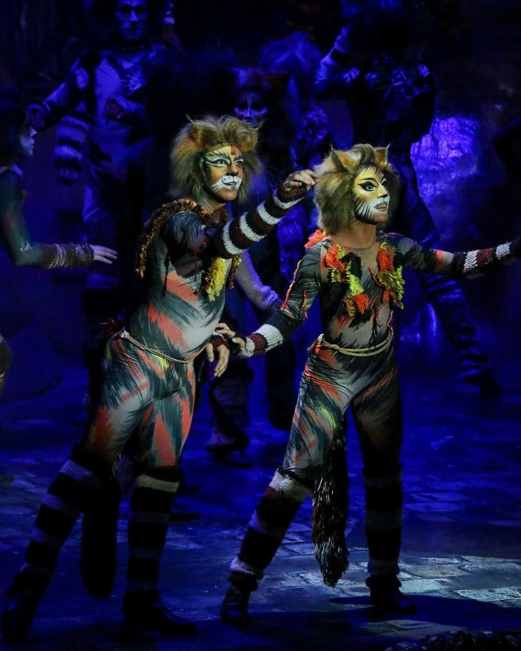 Roseli Arias 'Cats' Musical Wiki Fandom