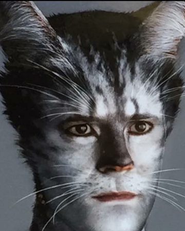 Munkustrap 2019 Movie Cats Musical Wiki Fandom