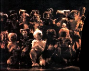 Naming of Cats US2.png (841 KB)