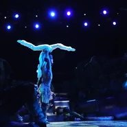 Plato Vic Daniel Timoney Katie Humphreys RCCL 2019.jpg (115 KB) Daniel Timoney