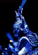 Siamese l9511 08.jpg (108 KB) London 1995