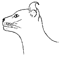 C01