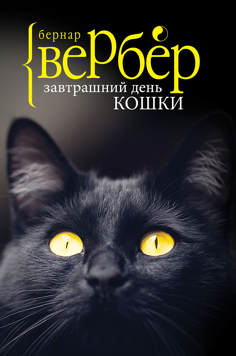 Завтрашний день кошки | Кошкопедия вики | Fandom