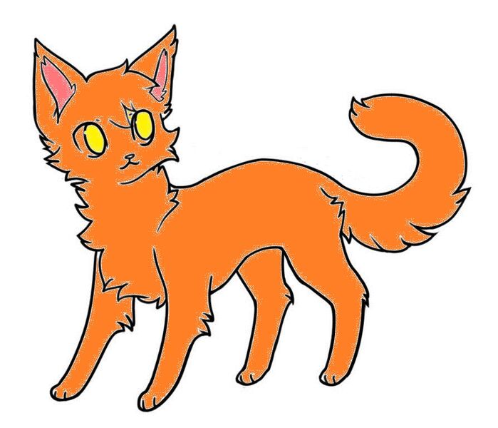 Фан кот. Фан кот