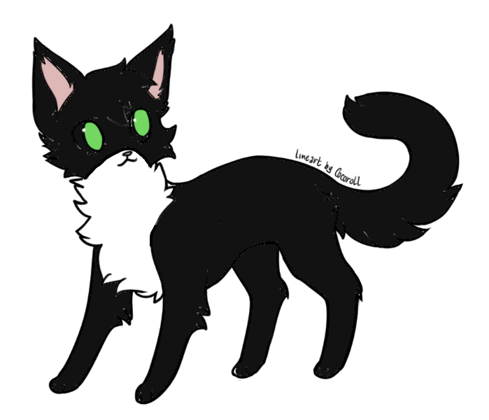 Фан кот. Фан кот