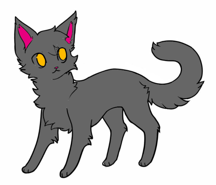 Фан кот. Черные модельки коты воители вики. мглистая звезда.