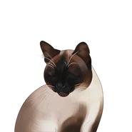 Rosemary | Cattails Game Wiki | Fandom