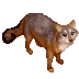 7492407.gif
