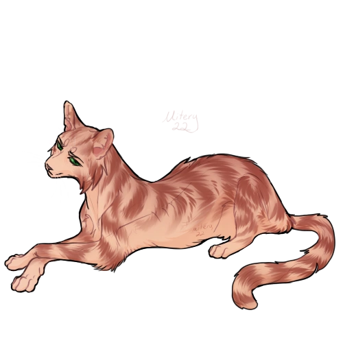 Карта грозового племени кэтвар