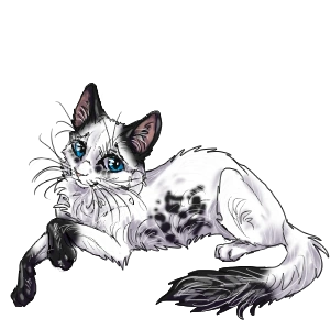 Catwar костюм из ракушек. Кэтвар котята. Кэтвар котята. Костюмы кэтвар. Коты воители кэтвар.