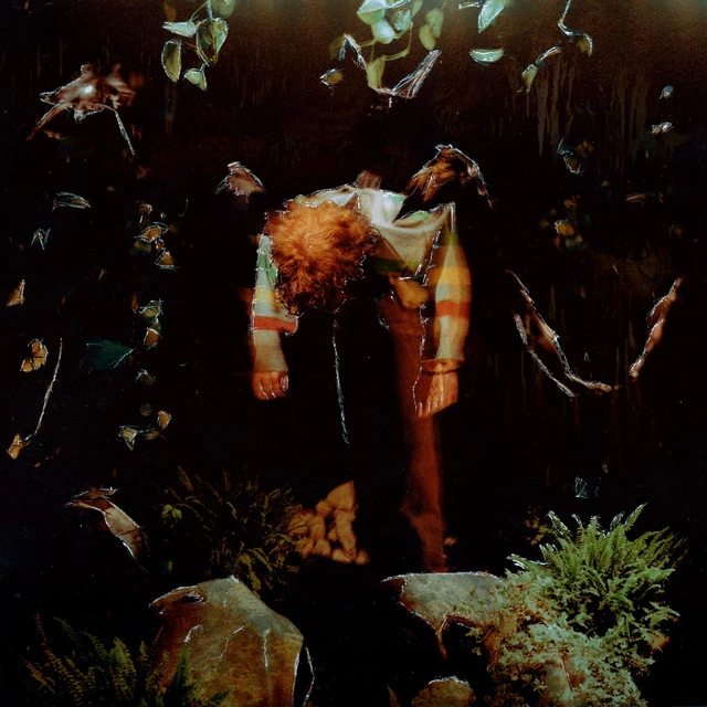 1994 Cavetown Wiki Fandom