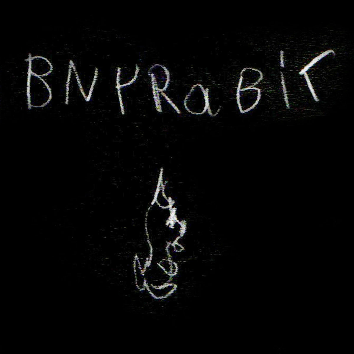 bny rabit Cavetown Wiki Fandom