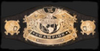 WWEUndisputedbelt