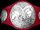 Raw Tag Team Championship (New-WWE)