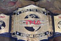 TNA Tags 002