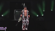 NorthAmericanChampion.png
