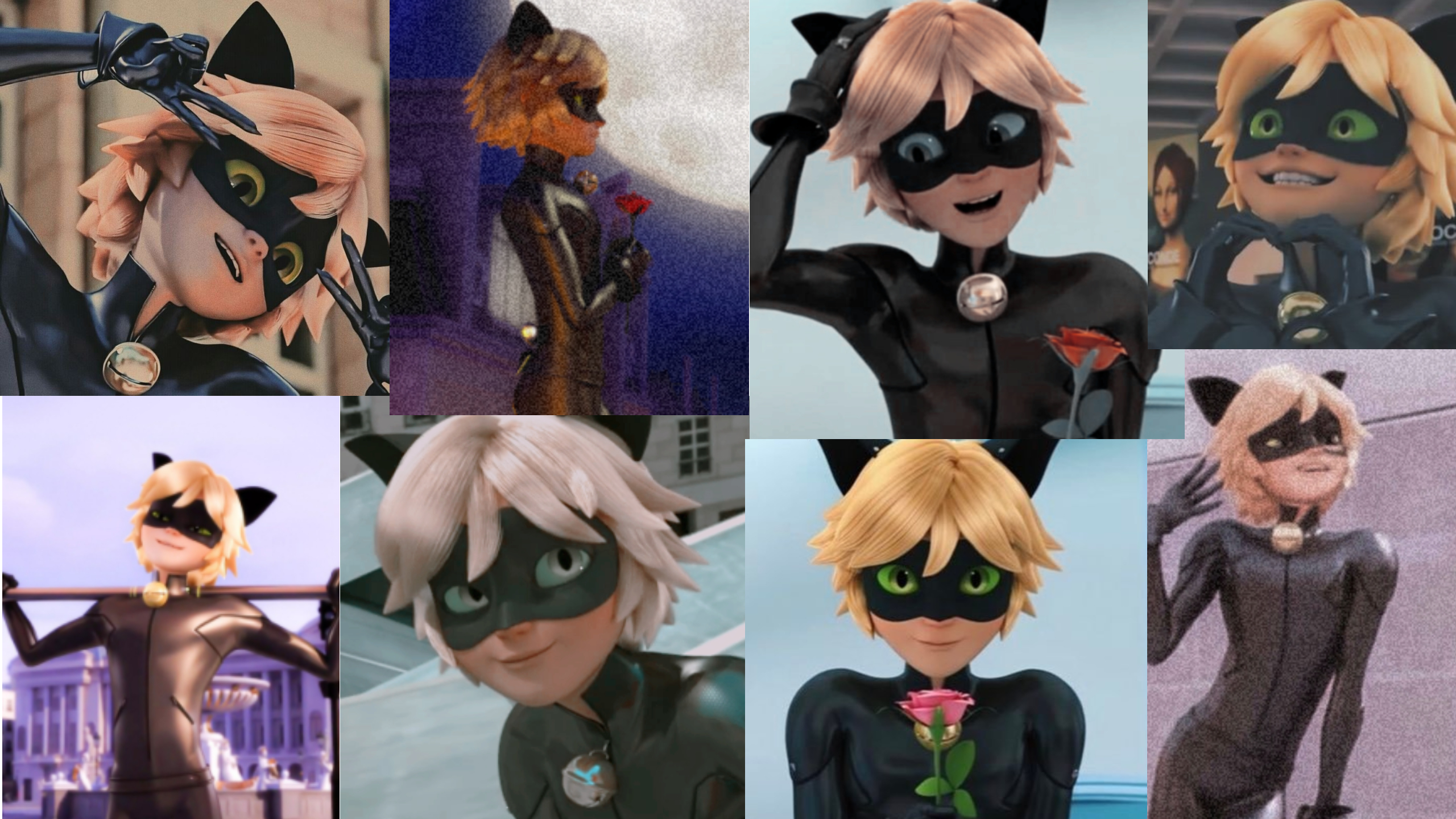 miraculous chat noir Montage photo