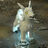 Crystal Vulptex's avatar