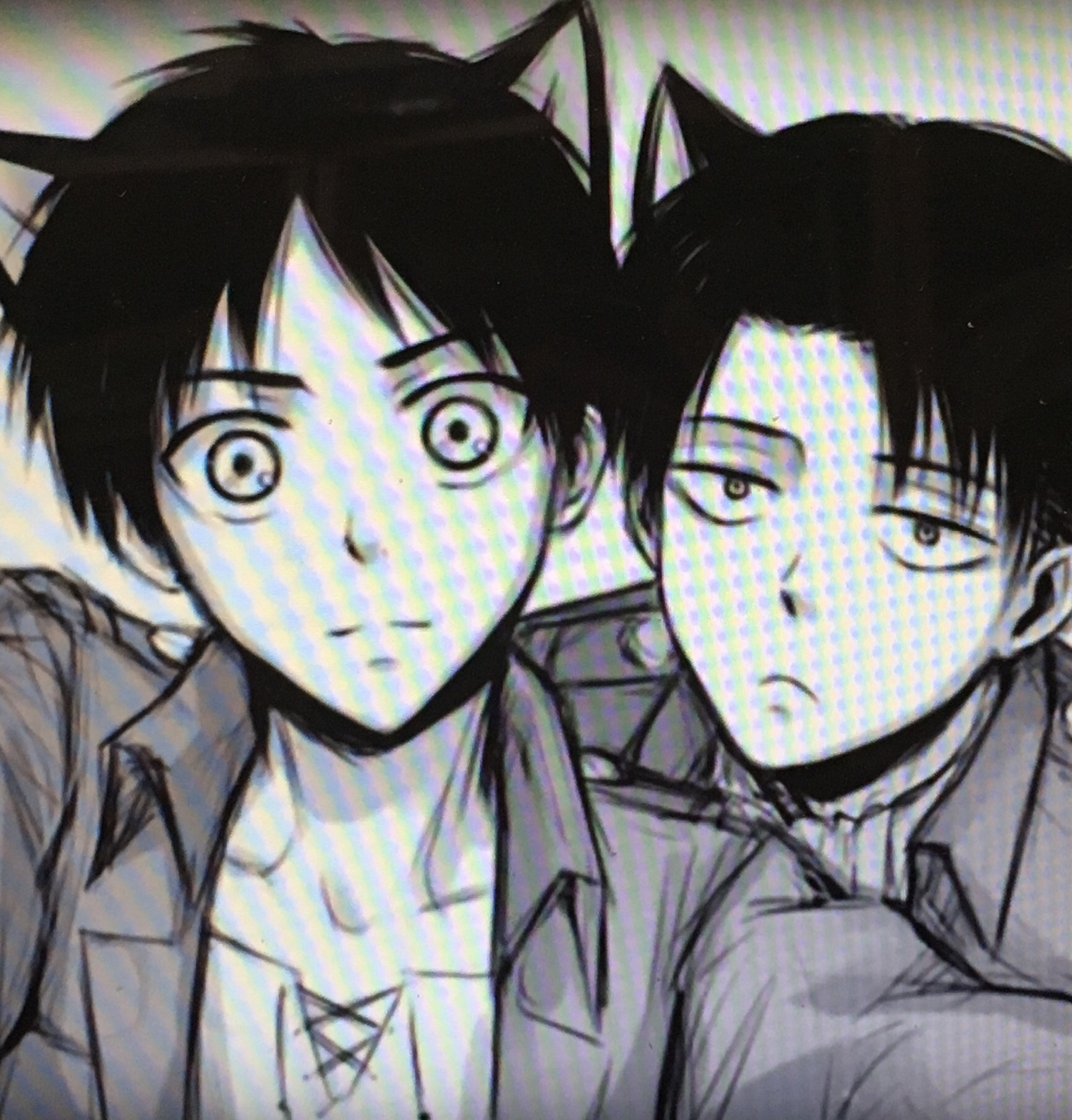 Neko Eren and Neko Captain Levi | Fandom