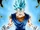 Vegetto500