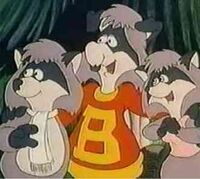 Raccoons.jpg