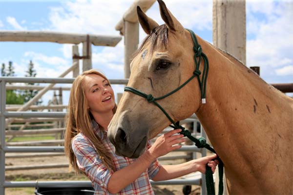 Where the Truth Lies | CBC Heartland Wiki | Fandom