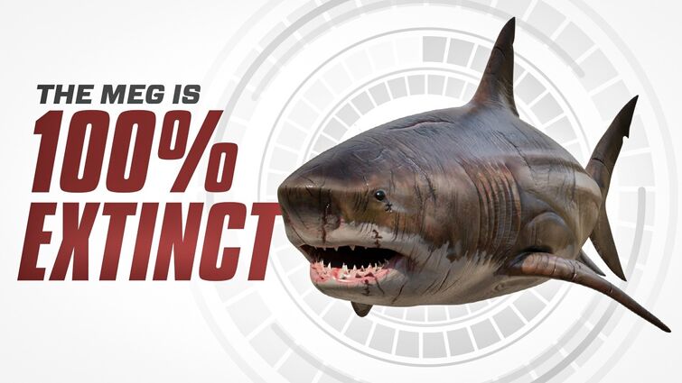 Why Megalodon is 100% EXTINCT