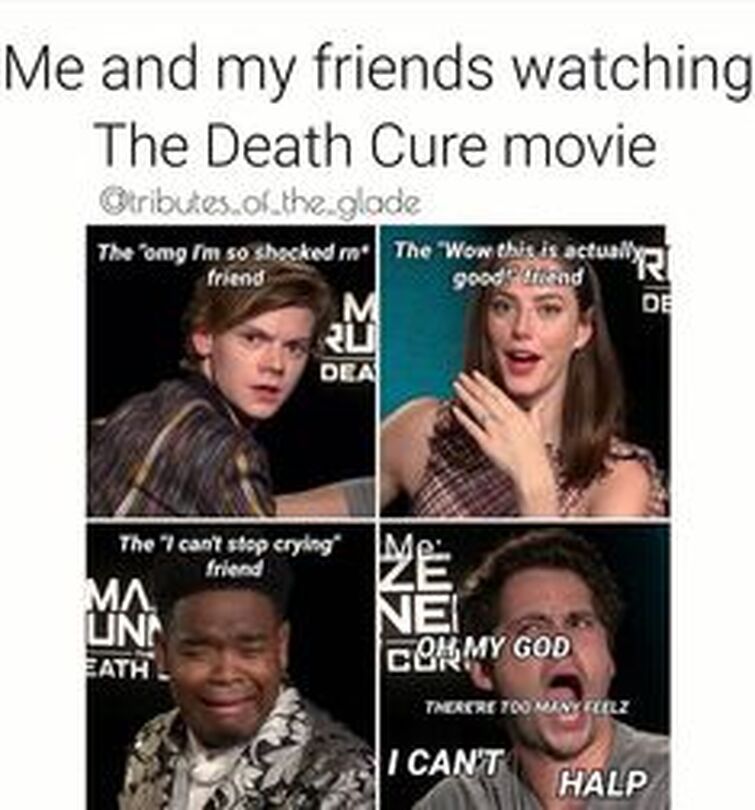 Cast, Maze Runner Fandom