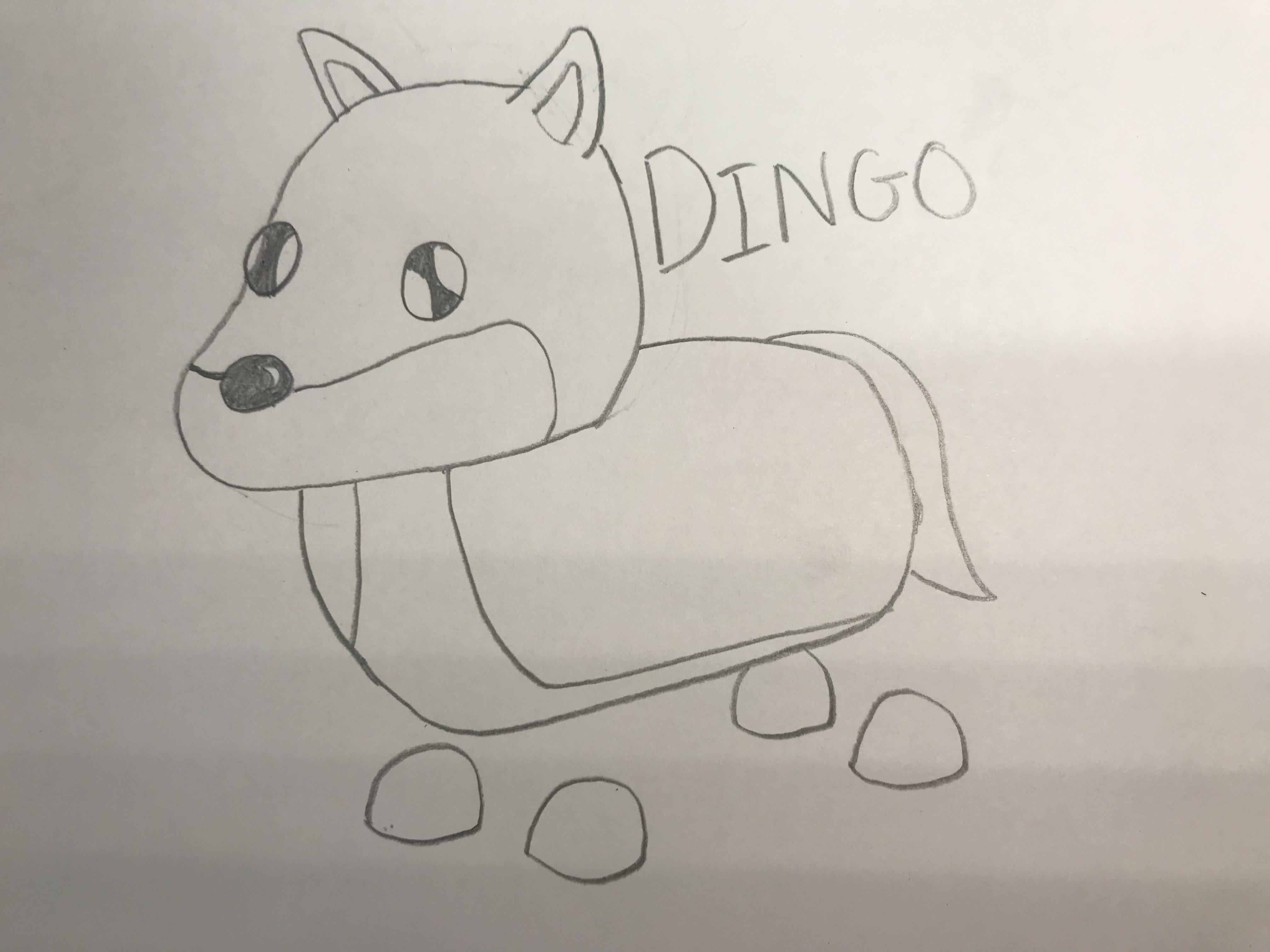 Featured image of post How To Draw A Dingo From Adopt Me How to draw a dingo