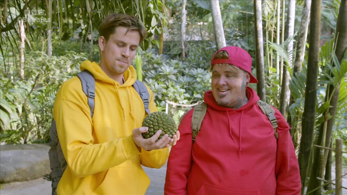 October 16, 2023 CBeebies and BBC Four Schedule Archives Wiki Fandom