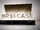 The Briefcase
