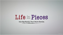 Life in Pieces