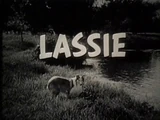 Lassie