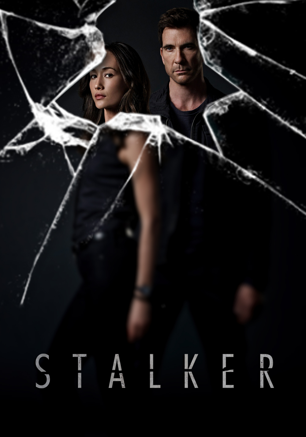 stalker tv show cast