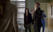 S01E02-The ruse