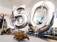 S07E09-Clyde 150.jpg (318 KB)