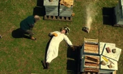 What the hell have you done to my bees?!