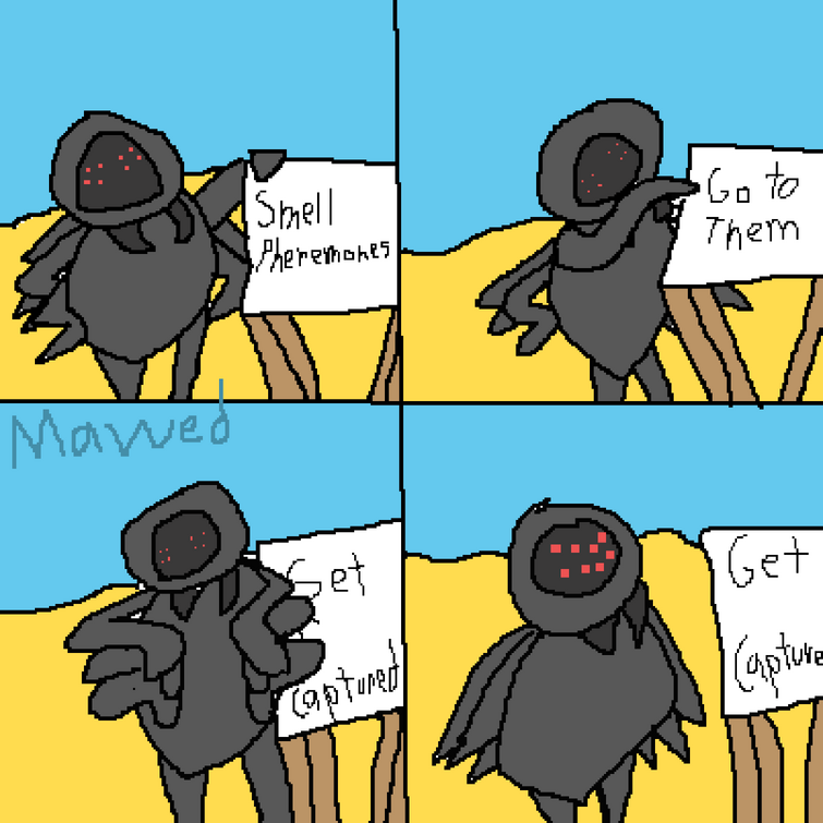 Gru meme as Tarantula