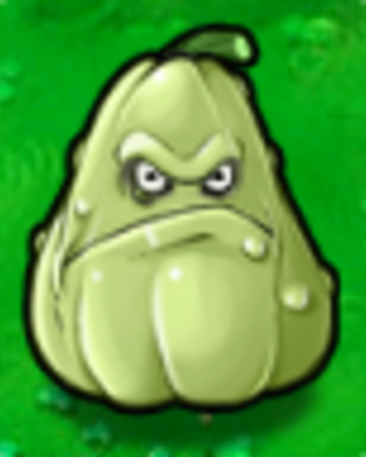 What plant is this? (Right answers only) Fandom