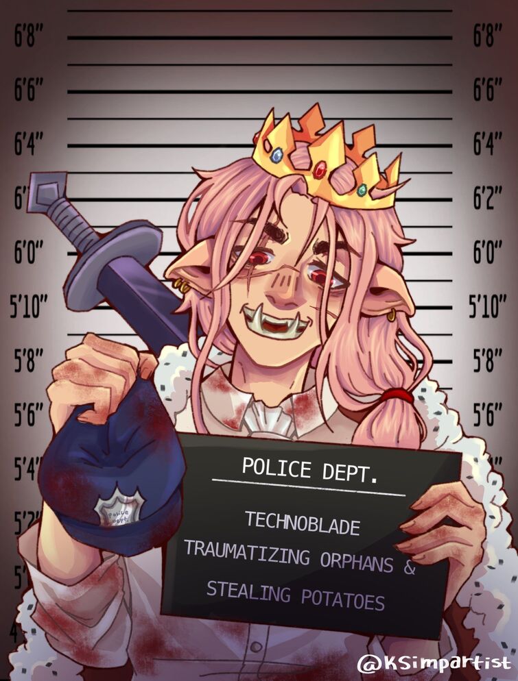 Sapnap Mugshot Poster for Sale by ksimpartist