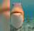 Virede's avatar