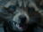 RockyerRoad's avatar