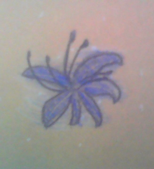 drew-the-blue-spider-lily-fandom