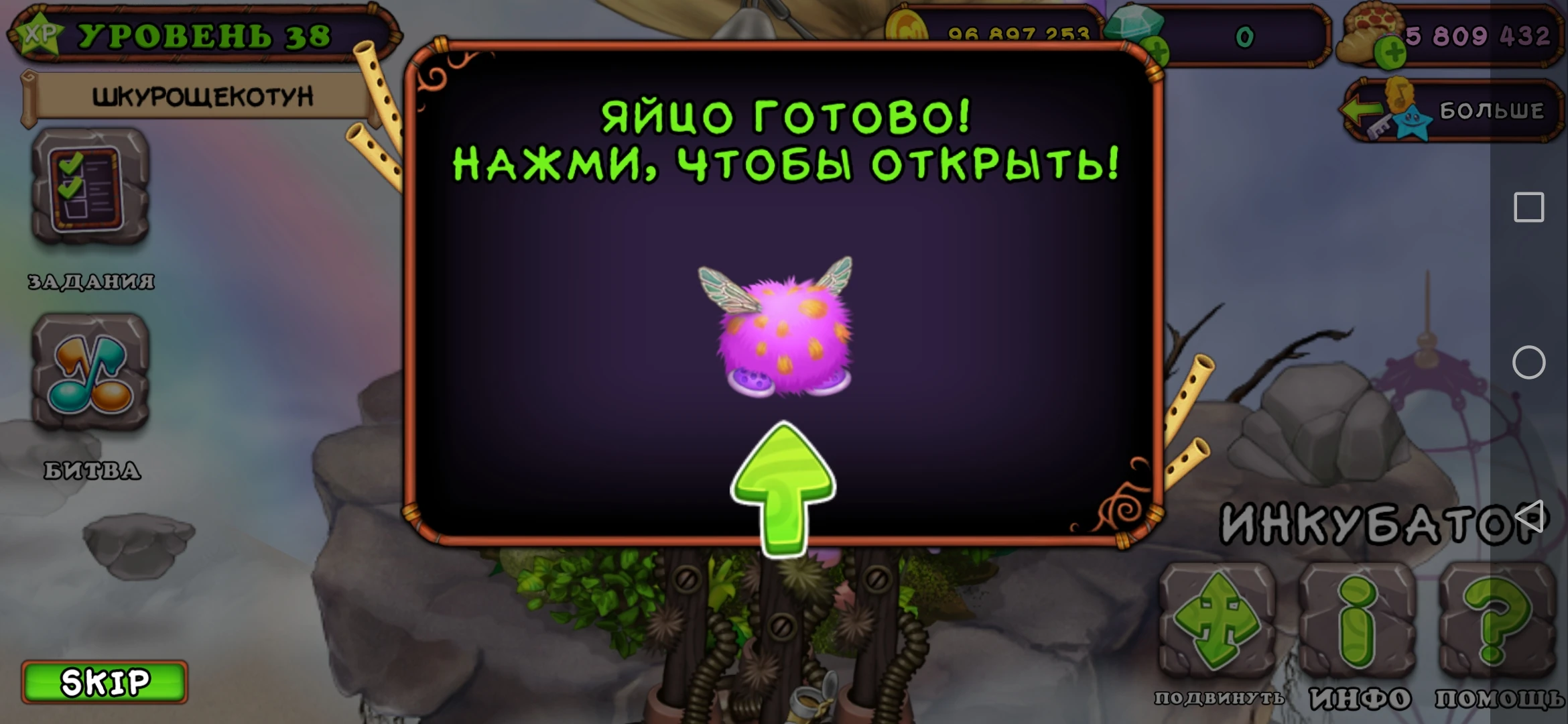 I decided to photograph every process appearance of epic scups | Fandom