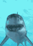 The Fintom of the Ocean is here but where Aquine?'s avatar