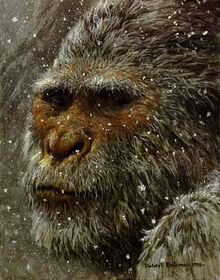Yeti1