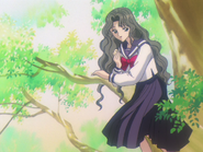 Nadeshiko on the tree