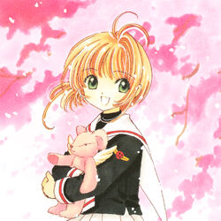 Category Characters Cardcaptor Sakura Wiki Fandom Author & illustration (manga, original character design): category characters cardcaptor sakura