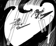 Shadow attacking 2.jpg (79 KB)